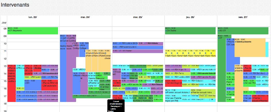 ecran du calendrier partagé pour les Maisons des Adolescents